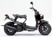 Honda Zoomer